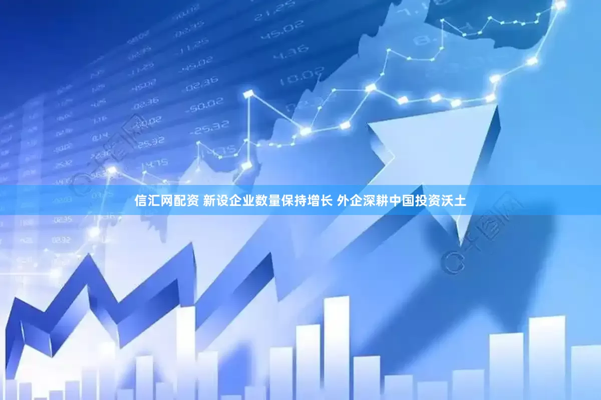 信汇网配资 新设企业数量保持增长 外企深耕中国投资沃土