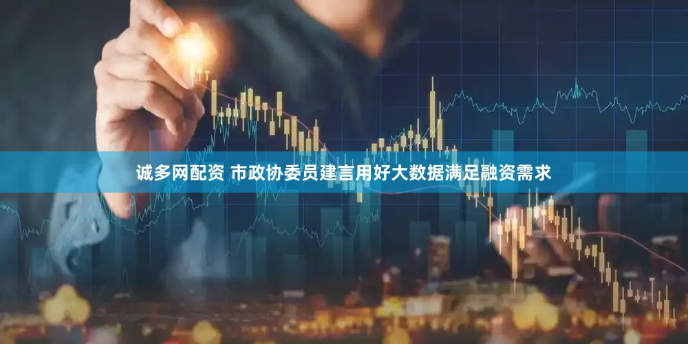诚多网配资 市政协委员建言用好大数据满足融资需求