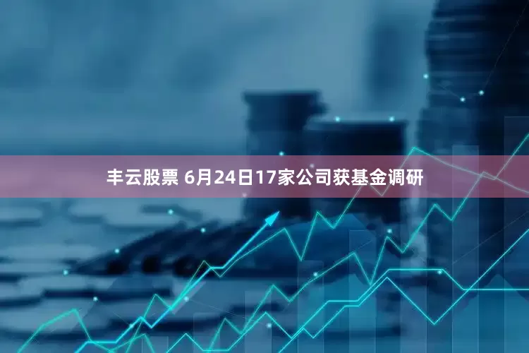 丰云股票 6月24日17家公司获基金调研