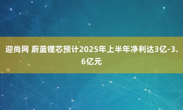 迎尚网 蔚蓝锂芯预计2025年上半年净利达3亿-3.6亿元