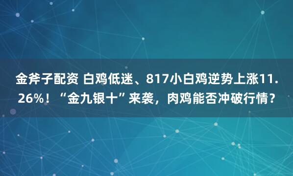 金斧子配资 白鸡低迷、817小白鸡逆势上涨11.26%!“金九银十”来袭,肉鸡能否冲破行情?
